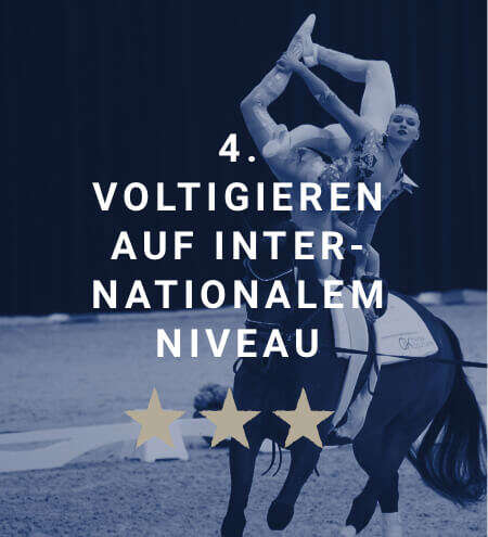derby academy springpferde voltigieren blau derby academy springpferde voltigieren blau